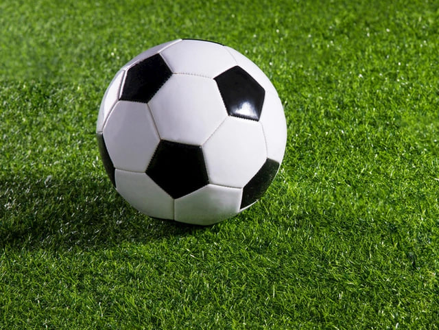 球队教练与管理人员使用场景